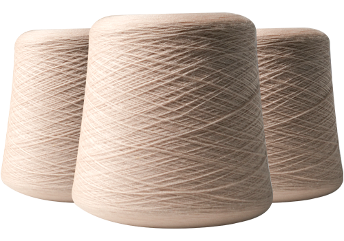 Jiangsu Haoye Fibre Technology Co., Ltd.